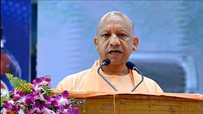 yogi 14 oct